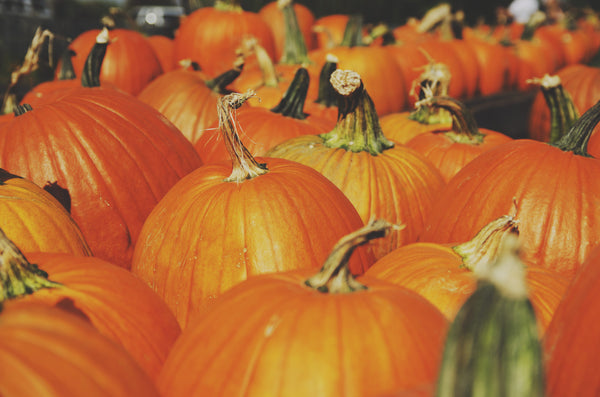 Halloween Treats