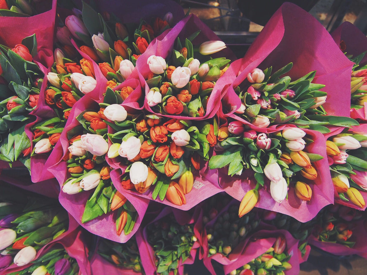 The April Edit