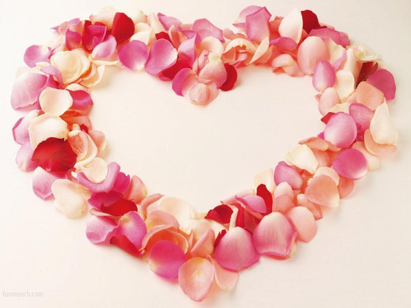 Valentine's HOT Offers! 50% off Selected Boxed Gifts...