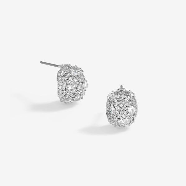 Jon Richard Rhodium Plated Cubic Zirconia Dome Earrings