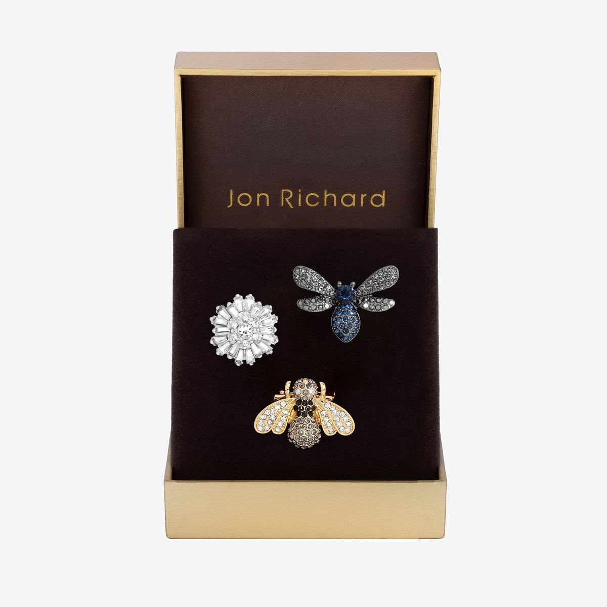 Jon Richard Bug Brooch - Pack Of 3 - Gift Boxed