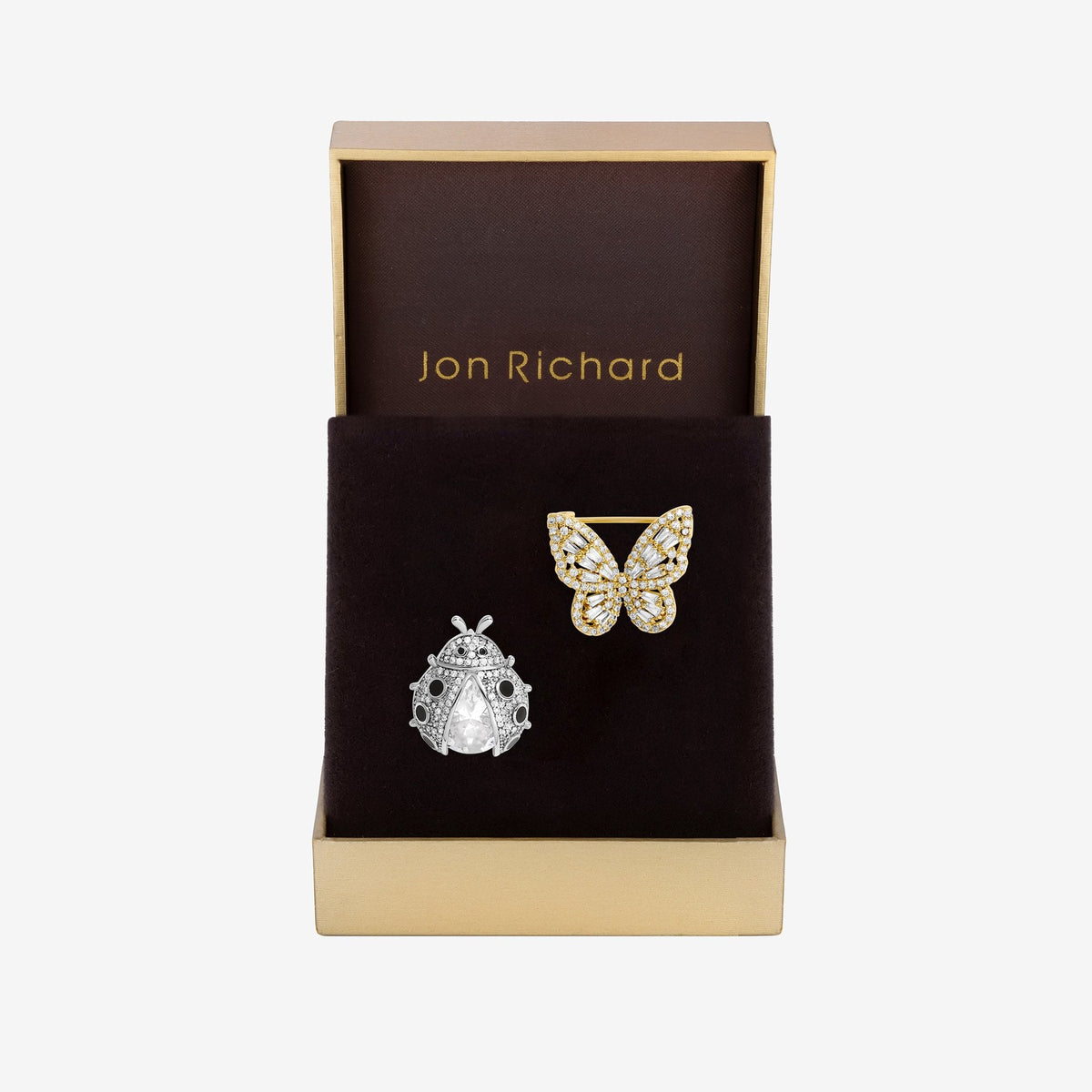 Jon Richard Bug Brooch - Pack Of 2 - Gift Boxed