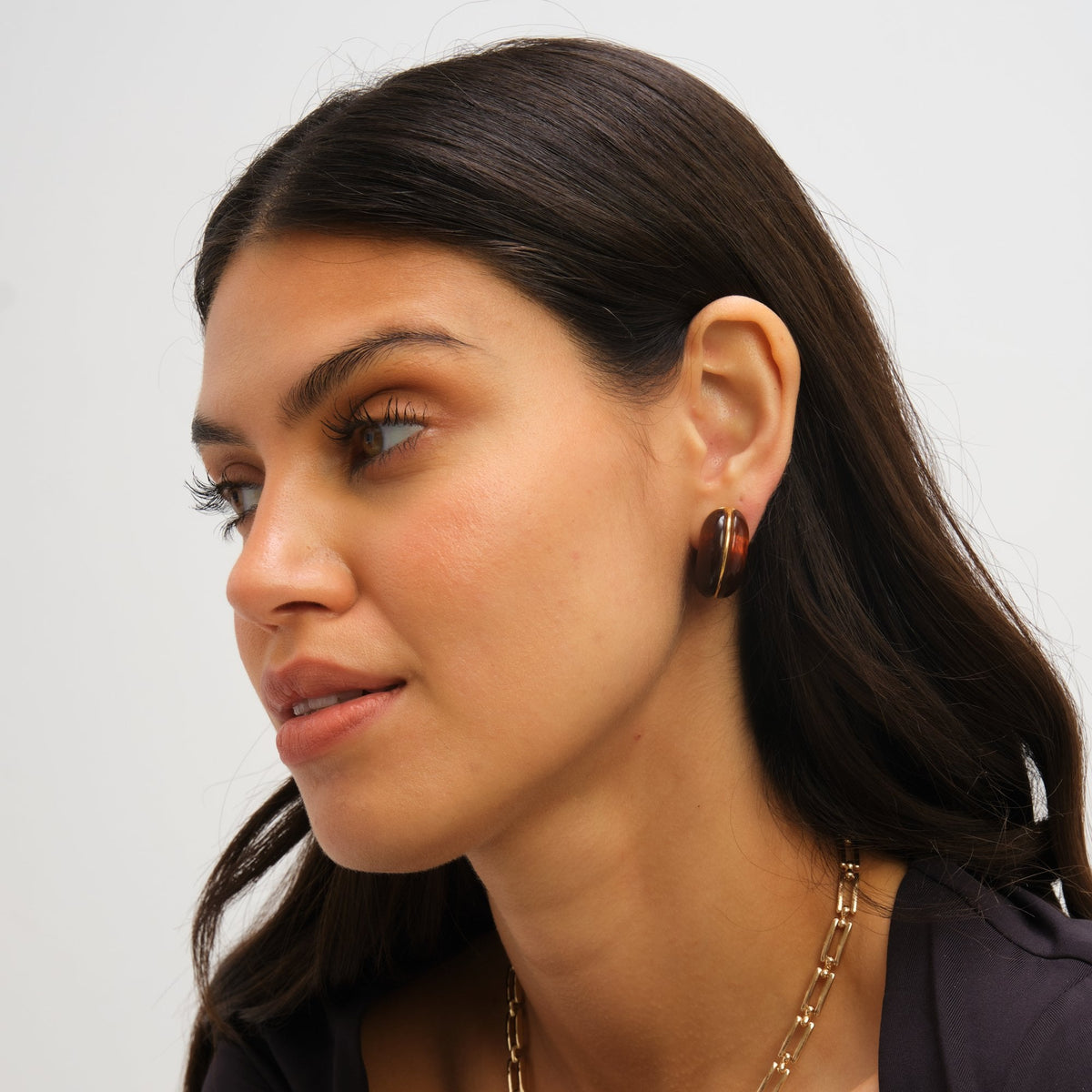 Jon Richard Brown Resin Hoop Earrings