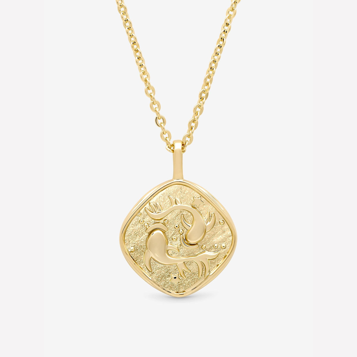 Jon Richard Gold Plated Molten Horoscope Pendant - Pisces