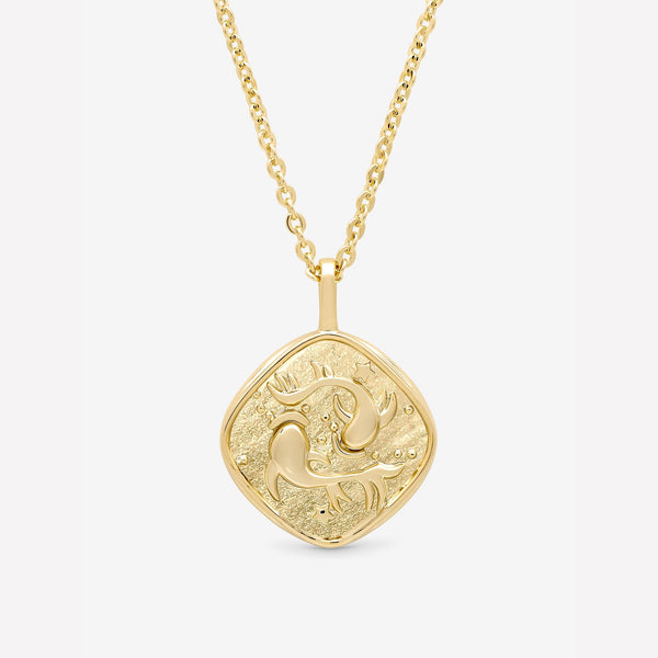 Jon Richard Gold Plated Molten Horoscope Pendant - Pisces